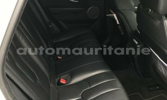 Buy Used Land Rover Range Rover Evoque White Car in Nouakchott in West Nouakchott Buy Used Land Rover Range Rover Evoque White Car in Nouakchott in West Nouakchott