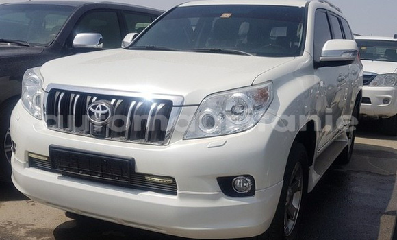 Buy Used Toyota Prado White Car in Guerou in Assaba Buy Used Toyota Prado White Car in Guerou in Assaba
