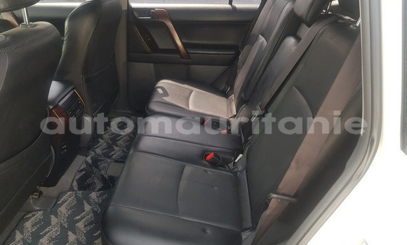 Buy Used Toyota Prado White Car in Guerou in Assaba Buy Used Toyota Prado White Car in Guerou in Assaba