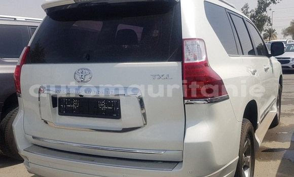 Buy Used Toyota Prado White Car in Guerou in Assaba Buy Used Toyota Prado White Car in Guerou in Assaba