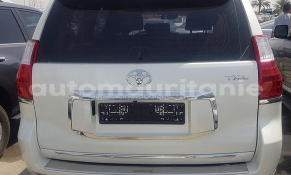 Buy Used Toyota Prado White Car in Guerou in Assaba Buy Used Toyota Prado White Car in Guerou in Assaba