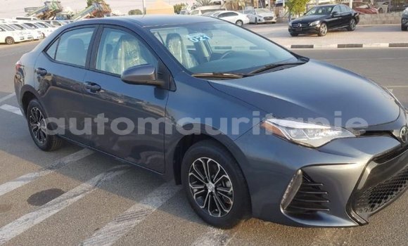 Acheter Import Voiture Toyota Corolla Autre à Import - Dubai, Adrar Acheter Import Voiture Toyota Corolla Autre à Import - Dubai, Adrar
