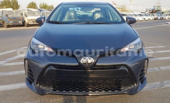 Acheter Import Voiture Toyota Corolla Autre à Import - Dubai, Adrar Acheter Import Voiture Toyota Corolla Autre à Import - Dubai, Adrar