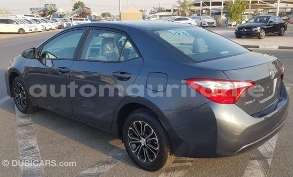 Acheter Import Voiture Toyota Corolla Autre à Import - Dubai, Adrar Acheter Import Voiture Toyota Corolla Autre à Import - Dubai, Adrar