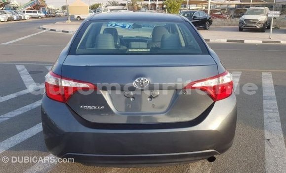Acheter Import Voiture Toyota Corolla Autre à Import - Dubai, Adrar Acheter Import Voiture Toyota Corolla Autre à Import - Dubai, Adrar