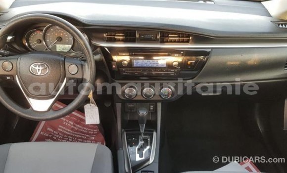 Acheter Import Voiture Toyota Corolla Autre à Import - Dubai, Adrar Acheter Import Voiture Toyota Corolla Autre à Import - Dubai, Adrar