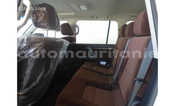 Buy Import Toyota Land Cruiser Other Car in Import - Dubai in Adrar Buy Import Toyota Land Cruiser Other Car in Import - Dubai in Adrar