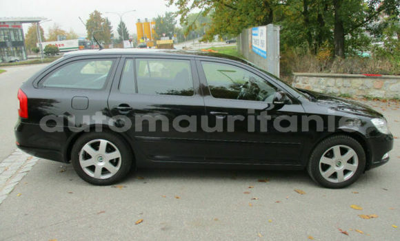 Buy Used Skoda Octavia Black Car in Nouakchott in West Nouakchott Buy Used Skoda Octavia Black Car in Nouakchott in West Nouakchott