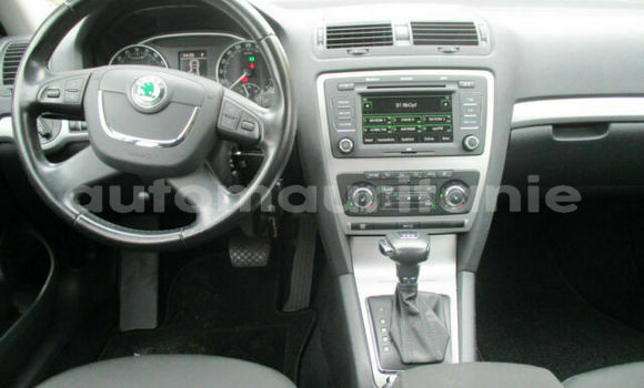 Buy Used Skoda Octavia Black Car in Nouakchott in West Nouakchott Buy Used Skoda Octavia Black Car in Nouakchott in West Nouakchott