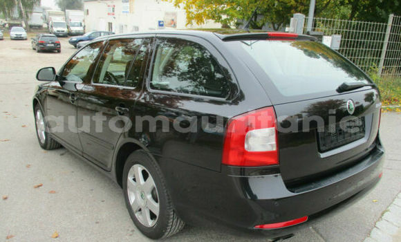 Buy Used Skoda Octavia Black Car in Nouakchott in West Nouakchott Buy Used Skoda Octavia Black Car in Nouakchott in West Nouakchott