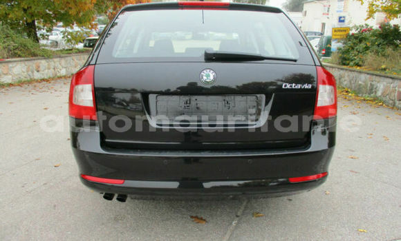 Buy Used Skoda Octavia Black Car in Nouakchott in West Nouakchott Buy Used Skoda Octavia Black Car in Nouakchott in West Nouakchott