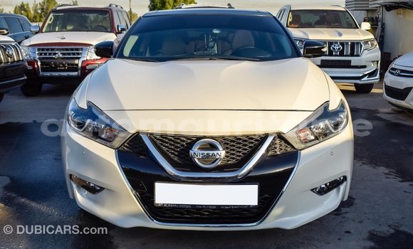 Acheter Import Voiture Nissan Maxima Blanc à Import - Dubai, Adrar Acheter Import Voiture Nissan Maxima Blanc à Import - Dubai, Adrar
