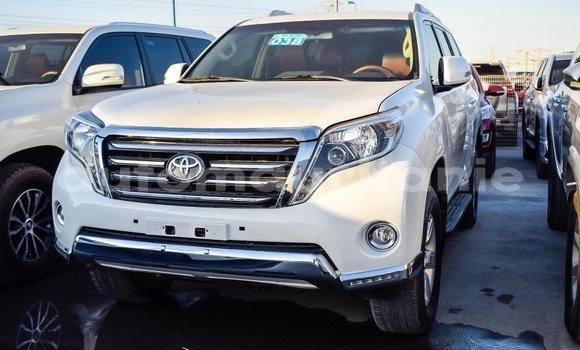 Acheter Import Voiture Toyota Prado Blanc à Import - Dubai, Adrar Acheter Import Voiture Toyota Prado Blanc à Import - Dubai, Adrar