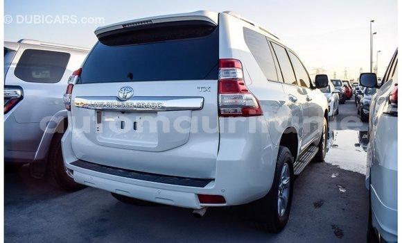 Acheter Import Voiture Toyota Prado Blanc à Import - Dubai, Adrar Acheter Import Voiture Toyota Prado Blanc à Import - Dubai, Adrar