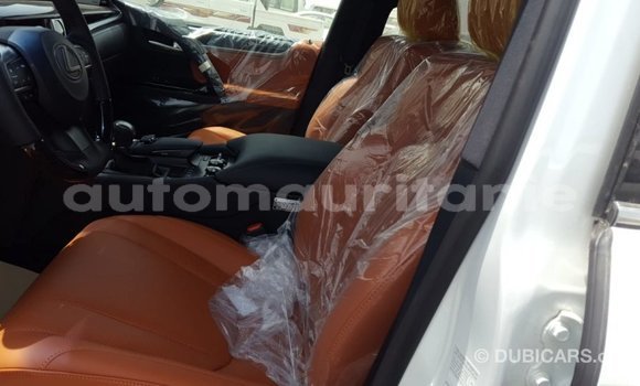 Buy Import Lexus LX Other Car in Import - Dubai in Adrar Buy Import Lexus LX Other Car in Import - Dubai in Adrar