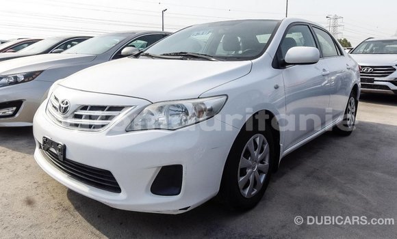 Acheter Import Voiture Toyota Corolla Blanc à Import - Dubai, Adrar Acheter Import Voiture Toyota Corolla Blanc à Import - Dubai, Adrar