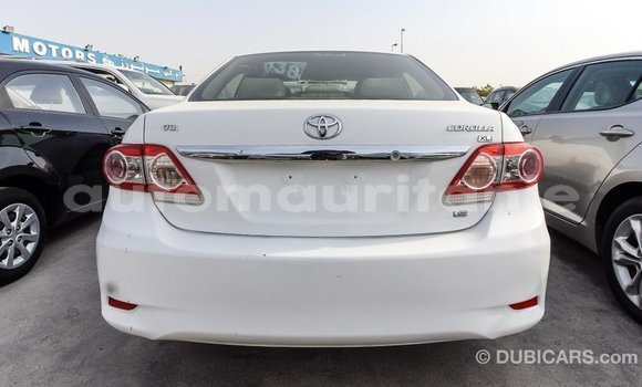 Acheter Import Voiture Toyota Corolla Blanc à Import - Dubai, Adrar Acheter Import Voiture Toyota Corolla Blanc à Import - Dubai, Adrar