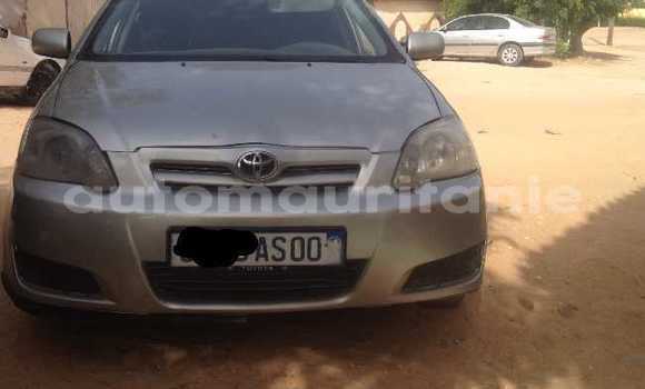 Buy Used Toyota Corolla Silver Car in Nouakchott in West Nouakchott Buy Used Toyota Corolla Silver Car in Nouakchott in West Nouakchott