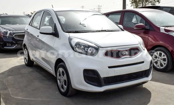 Acheter Import Voiture Kia Picanto Blanc à Import - Dubai, Adrar Acheter Import Voiture Kia Picanto Blanc à Import - Dubai, Adrar