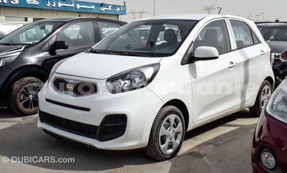 Acheter Import Voiture Kia Picanto Blanc à Import - Dubai, Adrar Acheter Import Voiture Kia Picanto Blanc à Import - Dubai, Adrar