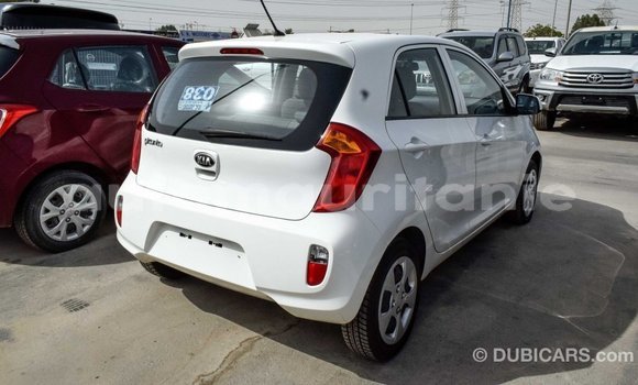 Acheter Import Voiture Kia Picanto Blanc à Import - Dubai, Adrar Acheter Import Voiture Kia Picanto Blanc à Import - Dubai, Adrar