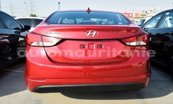 Acheter Import Voiture Hyundai Elantra Rouge à Import - Dubai, Adrar Acheter Import Voiture Hyundai Elantra Rouge à Import - Dubai, Adrar