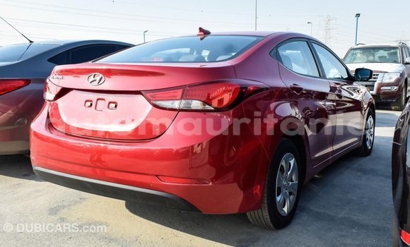 Acheter Import Voiture Hyundai Elantra Rouge à Import - Dubai, Adrar Acheter Import Voiture Hyundai Elantra Rouge à Import - Dubai, Adrar