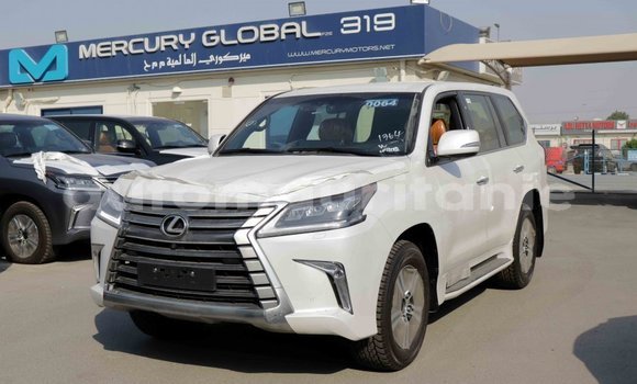 Buy Import Lexus LX White Car in Import - Dubai in Adrar Buy Import Lexus LX White Car in Import - Dubai in Adrar
