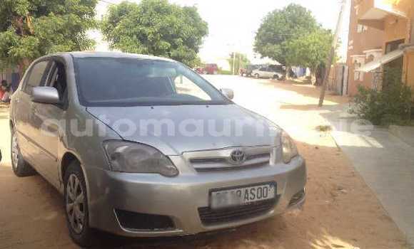 Buy Used Toyota Corolla Silver Car in Nouakchott in West Nouakchott Buy Used Toyota Corolla Silver Car in Nouakchott in West Nouakchott