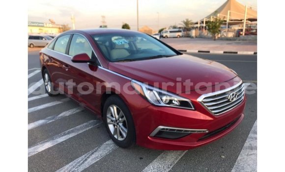 Buy Import Hyundai Sonata Red Car in Import - Dubai in Adrar Buy Import Hyundai Sonata Red Car in Import - Dubai in Adrar