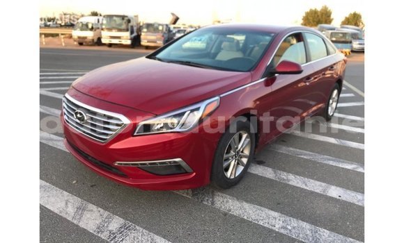 Buy Import Hyundai Sonata Red Car in Import - Dubai in Adrar Buy Import Hyundai Sonata Red Car in Import - Dubai in Adrar