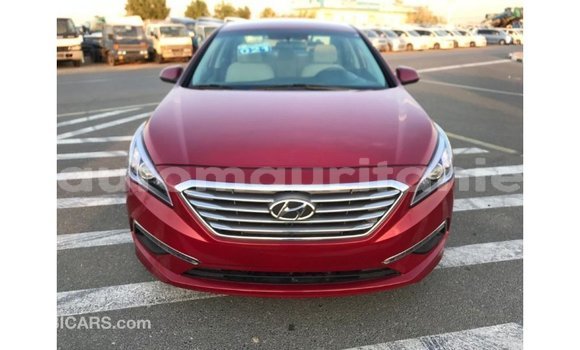 Buy Import Hyundai Sonata Red Car in Import - Dubai in Adrar Buy Import Hyundai Sonata Red Car in Import - Dubai in Adrar