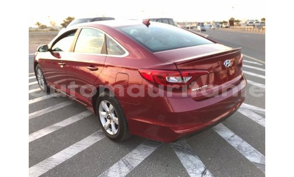 Buy Import Hyundai Sonata Red Car in Import - Dubai in Adrar Buy Import Hyundai Sonata Red Car in Import - Dubai in Adrar