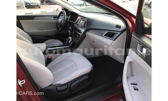 Buy Import Hyundai Sonata Red Car in Import - Dubai in Adrar Buy Import Hyundai Sonata Red Car in Import - Dubai in Adrar