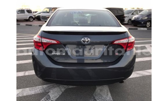 Acheter Import Voiture Toyota Corolla Autre à Import - Dubai, Adrar Acheter Import Voiture Toyota Corolla Autre à Import - Dubai, Adrar