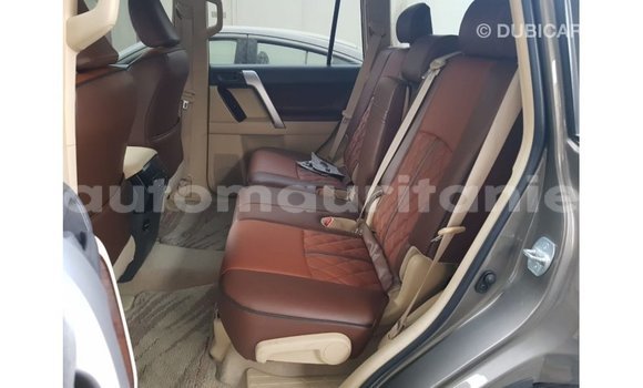 Acheter Import Voiture Toyota Prado Marron à Import - Dubai, Adrar Acheter Import Voiture Toyota Prado Marron à Import - Dubai, Adrar