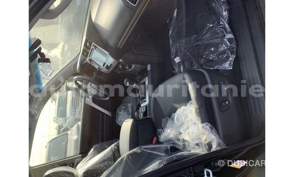 Buy Import Toyota Prado Black Car in Import - Dubai in Adrar Buy Import Toyota Prado Black Car in Import - Dubai in Adrar