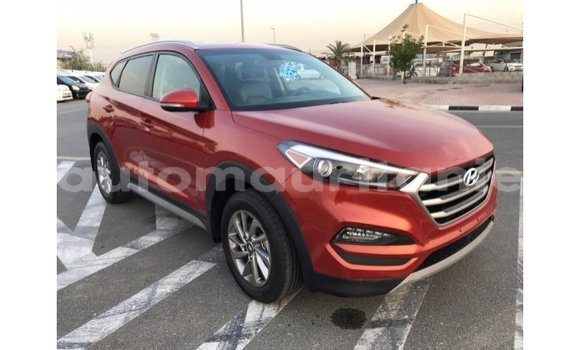 Acheter Import Voiture Hyundai Tucson Rouge à Import - Dubai, Adrar Acheter Import Voiture Hyundai Tucson Rouge à Import - Dubai, Adrar