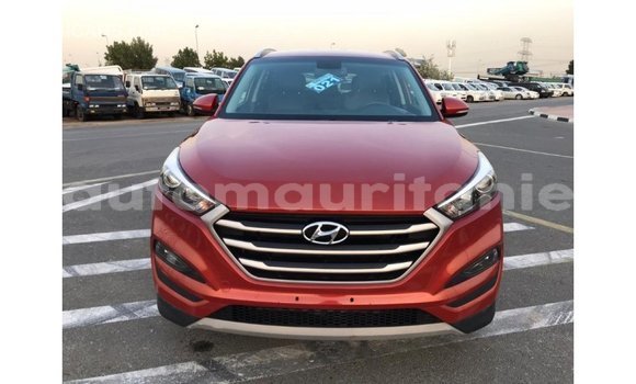 Acheter Import Voiture Hyundai Tucson Rouge à Import - Dubai, Adrar Acheter Import Voiture Hyundai Tucson Rouge à Import - Dubai, Adrar