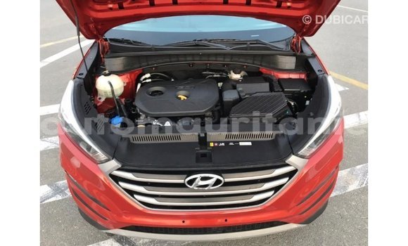 Acheter Import Voiture Hyundai Tucson Rouge à Import - Dubai, Adrar Acheter Import Voiture Hyundai Tucson Rouge à Import - Dubai, Adrar