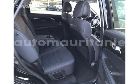 Acheter Import Voiture Kia Sorento Noir à Import - Dubai, Adrar Acheter Import Voiture Kia Sorento Noir à Import - Dubai, Adrar