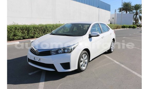 Buy Import Toyota Corolla White Car in Import - Dubai in Adrar Buy Import Toyota Corolla White Car in Import - Dubai in Adrar