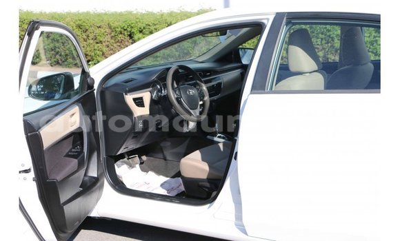 Buy Import Toyota Corolla White Car in Import - Dubai in Adrar Buy Import Toyota Corolla White Car in Import - Dubai in Adrar