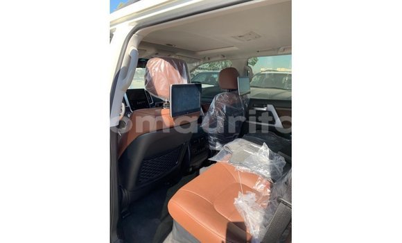 Buy Import Toyota Land Cruiser White Car in Import - Dubai in Adrar Buy Import Toyota Land Cruiser White Car in Import - Dubai in Adrar