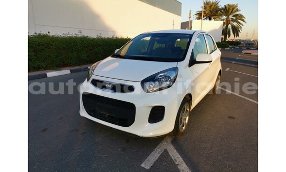 Buy Import Kia Picanto White Car in Import - Dubai in Adrar Buy Import Kia Picanto White Car in Import - Dubai in Adrar