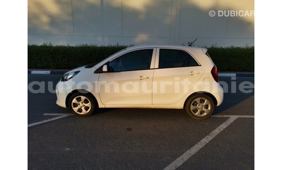 Buy Import Kia Picanto White Car in Import - Dubai in Adrar Buy Import Kia Picanto White Car in Import - Dubai in Adrar