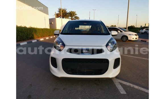 Buy Import Kia Picanto White Car in Import - Dubai in Adrar Buy Import Kia Picanto White Car in Import - Dubai in Adrar