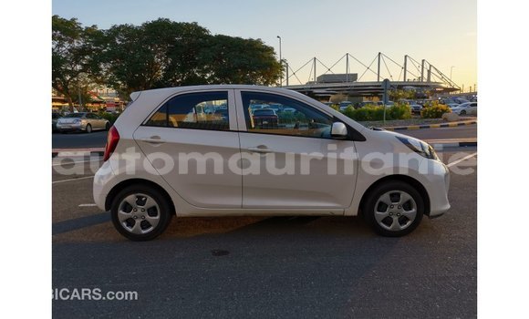 Buy Import Kia Picanto White Car in Import - Dubai in Adrar Buy Import Kia Picanto White Car in Import - Dubai in Adrar