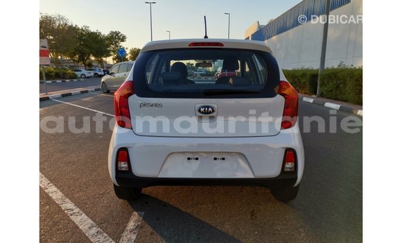 Buy Import Kia Picanto White Car in Import - Dubai in Adrar Buy Import Kia Picanto White Car in Import - Dubai in Adrar