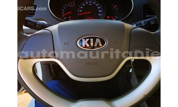 Buy Import Kia Picanto White Car in Import - Dubai in Adrar Buy Import Kia Picanto White Car in Import - Dubai in Adrar